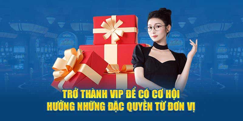 Hội viên cần tận dụng khuyến mãi để gia tăng vốn cược