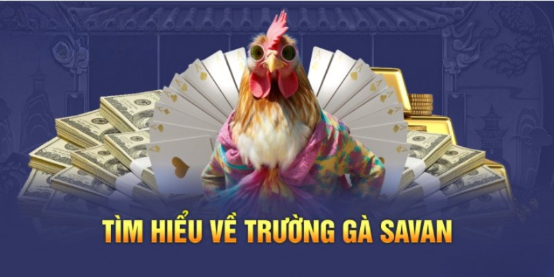 Giới thiệu chung về trường gà quốc tế Savan