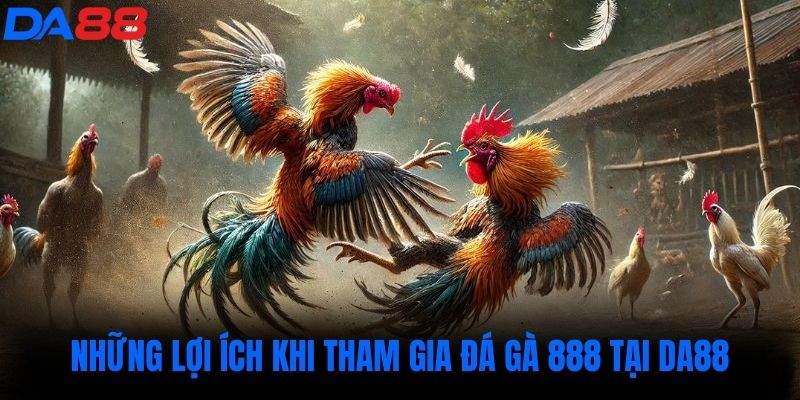 Những lợi ích khi tham gia đá gà 888 tại DA88