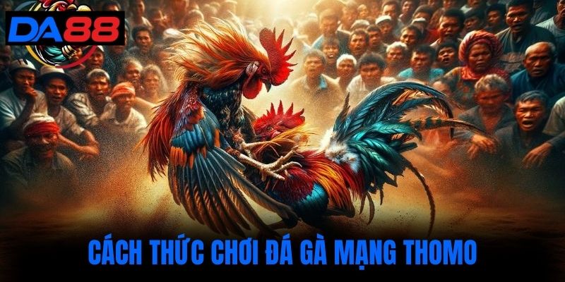 Cách thức chơi đá gà mạng thomo