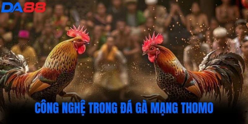 Công nghệ trong đá gà mạng thomo